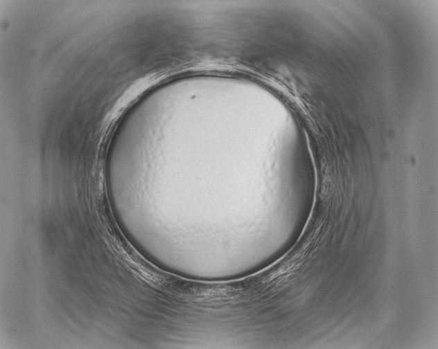 X0000059041367200510281531