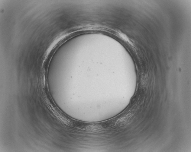 X0000059041368200510281531