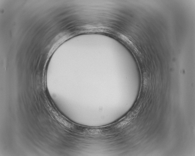 X0000059041370200510281531