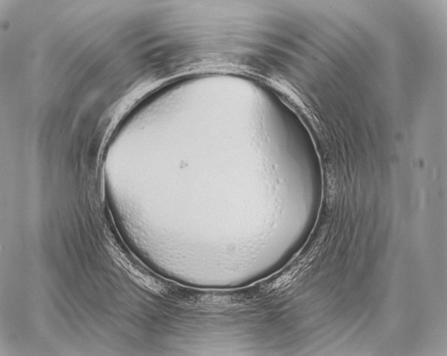 X0000059041371200510281531