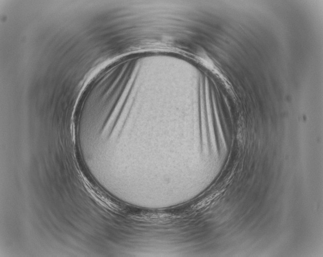 X0000059041372200510281531