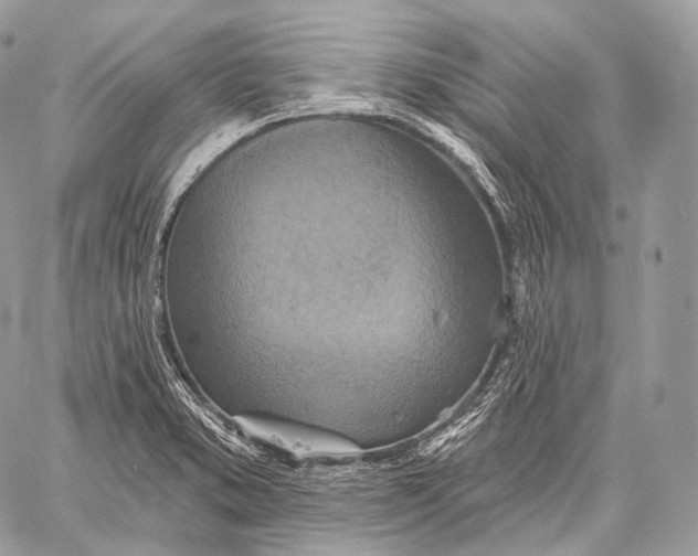 X0000059041373200510281531