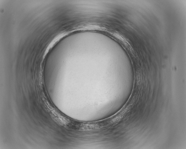 X0000059041374200510281531