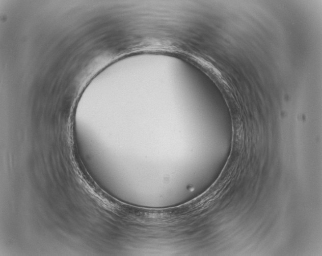 X0000059041375200510281531