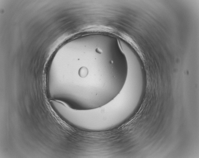 X0000059041376200510281531