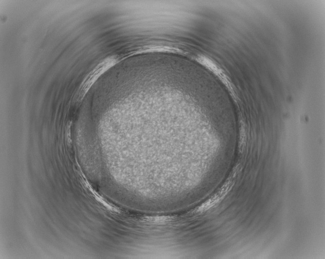 X0000059041377200510281531