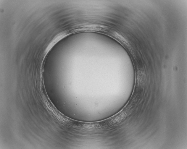 X0000059041378200510281531