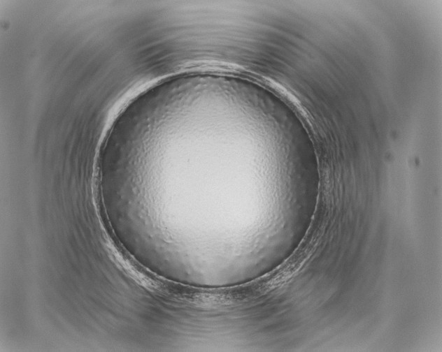 X0000059041379200510281531