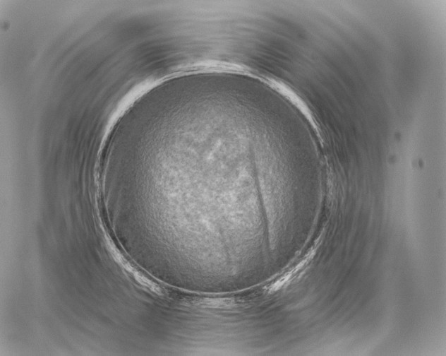 X0000059041381200510281531