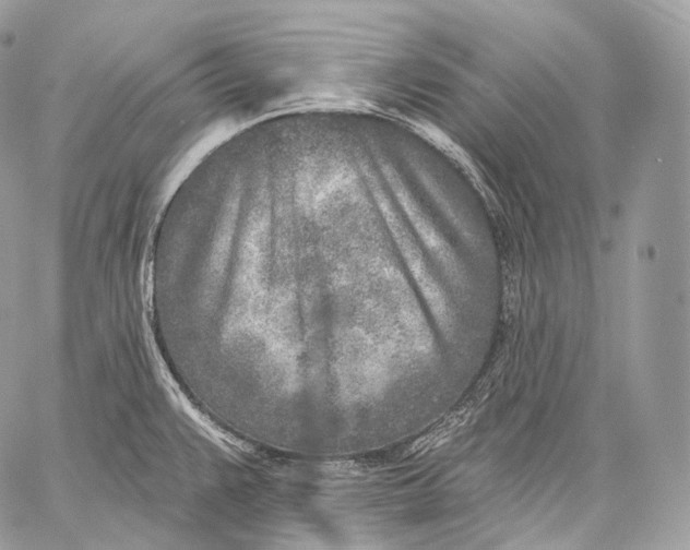 X0000059041383200510281531