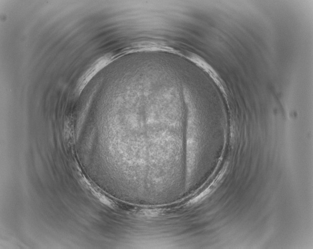 X0000059041385200510281531