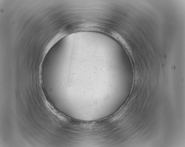 X0000059041386200510281531