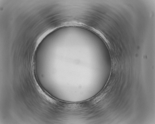 X0000059041387200510281531