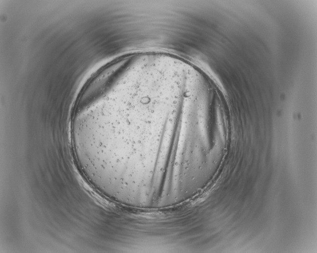 X0000059041388200510281531