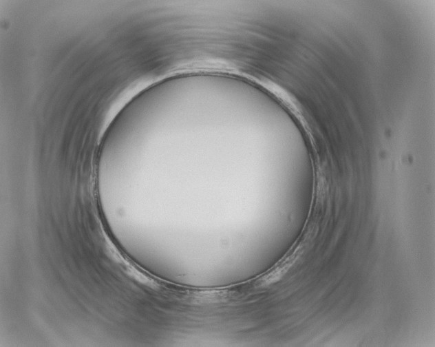 X0000059041390200510281531