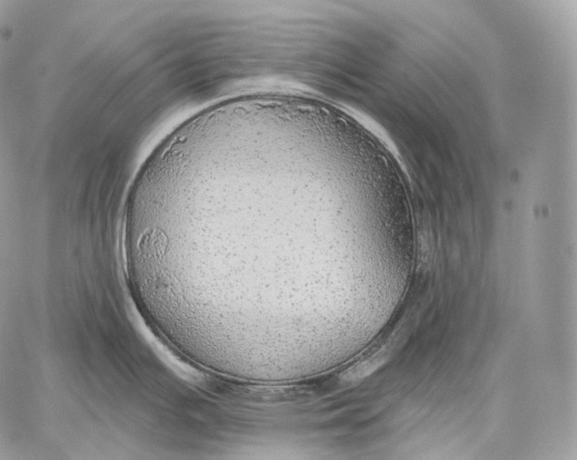 X0000059041391200510281531