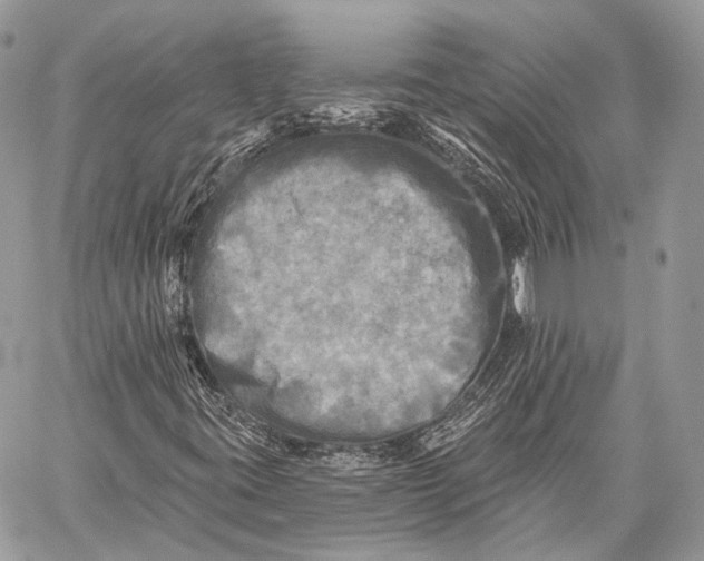 X0000059041395200510281530