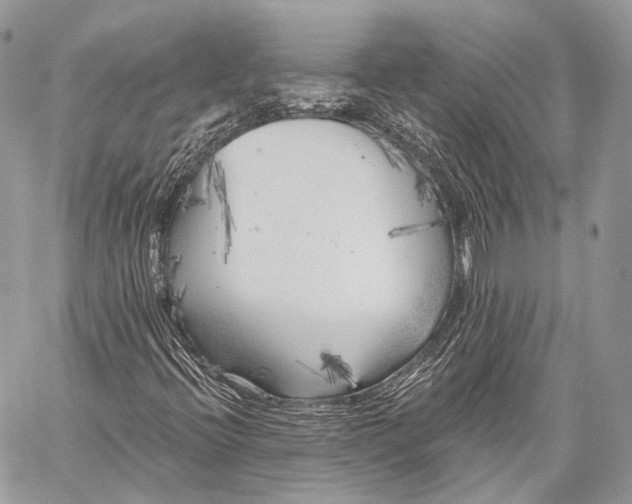 X0000059041396200510281530