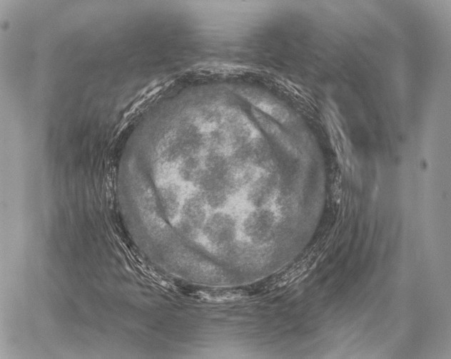 X0000059041397200510281530