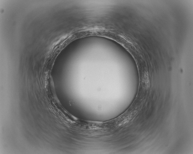 X0000059041398200510281530