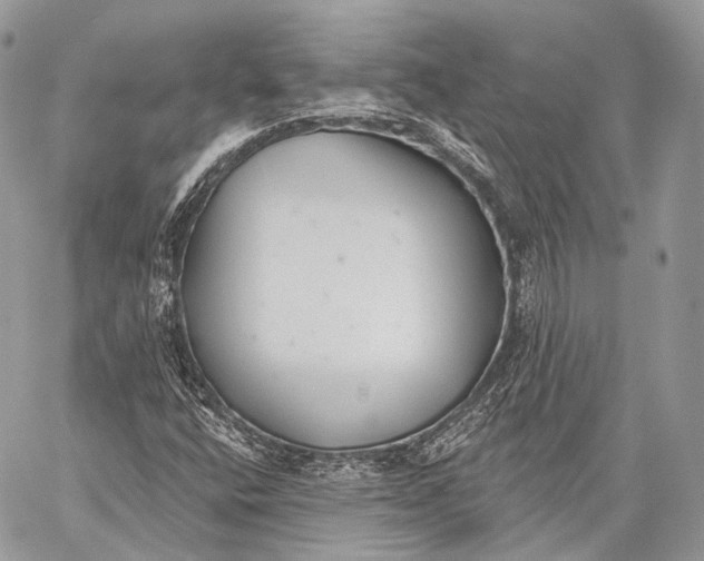 X0000059041400200510281530