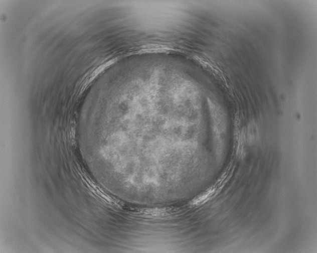 X0000059041401200510281530