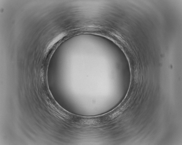 X0000059041402200510281530