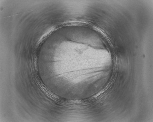 X0000059041403200510281530