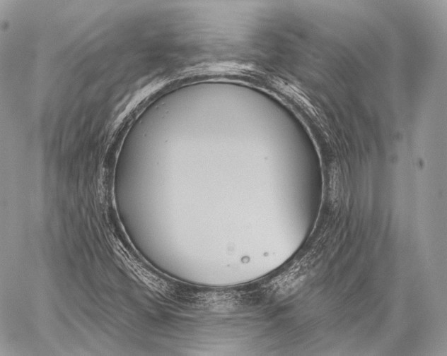 X0000059041404200510281530