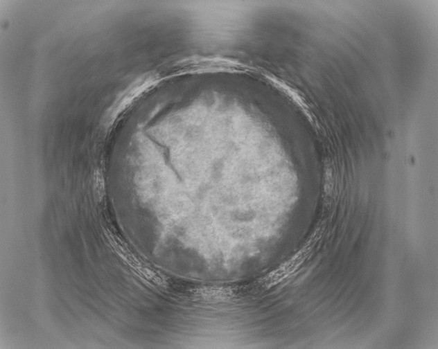 X0000059041407200510281530