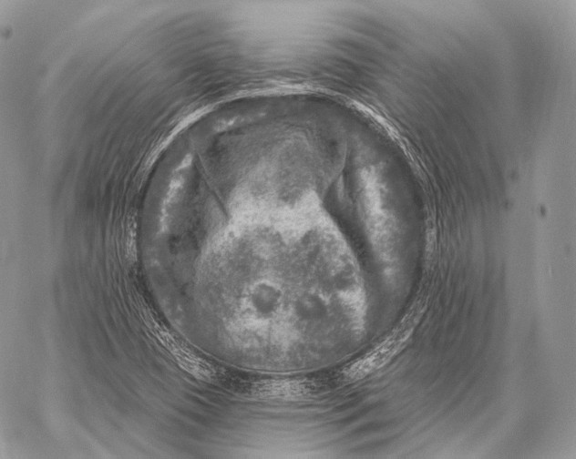 X0000059041409200510281530