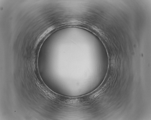 X0000059041410200510281530