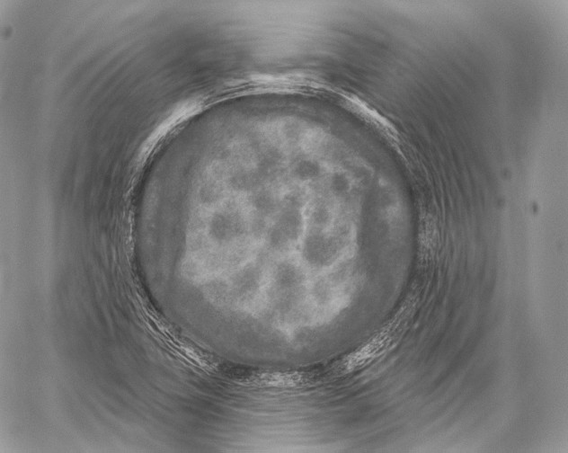 X0000059041411200510281530