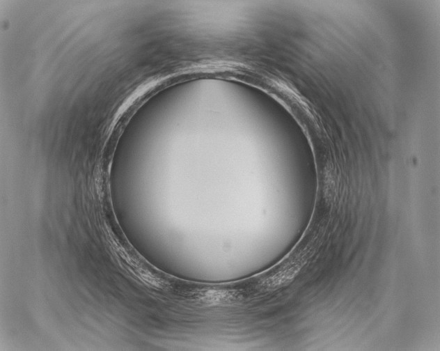 X0000059041412200510281531