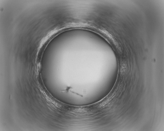 X0000059041414200510281531