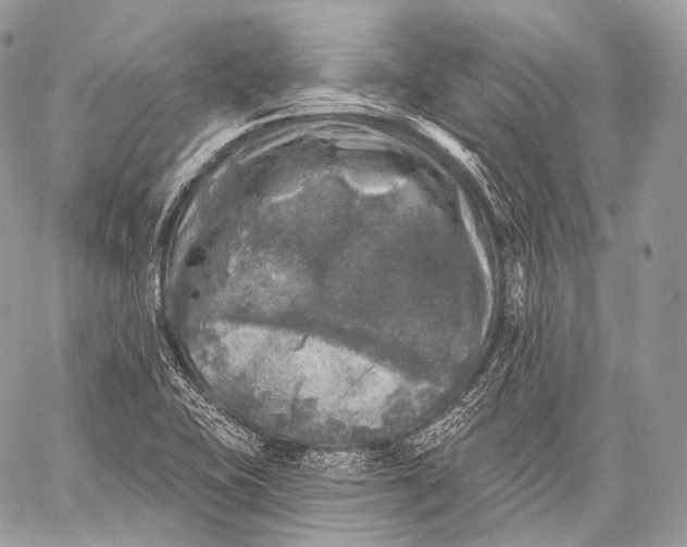 X0000059041415200510281531