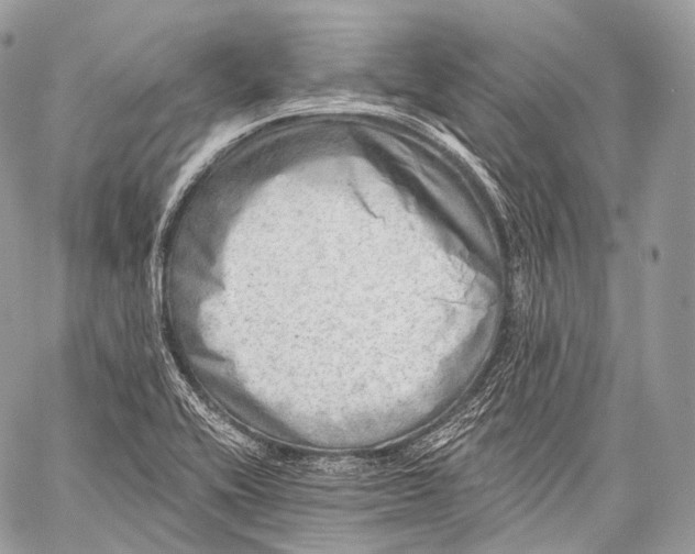 X0000059041416200510281531