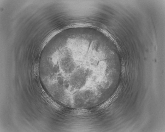 X0000059041417200510281531