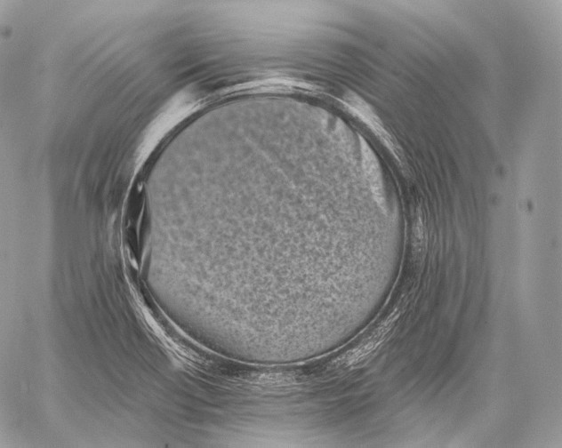 X0000059041418200510281531