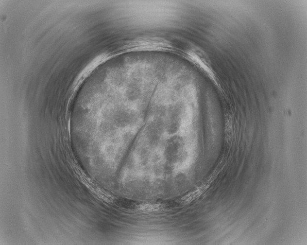 X0000059041419200510281531