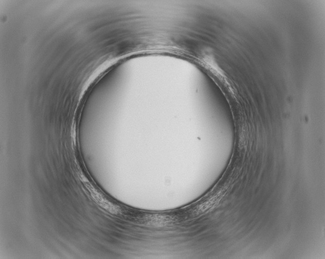 X0000059041420200510281531