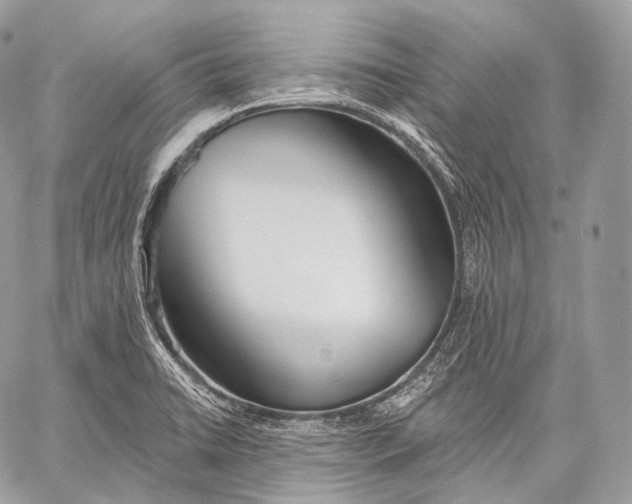 X0000059041422200510281531