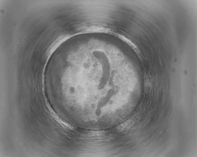 X0000059041423200510281531