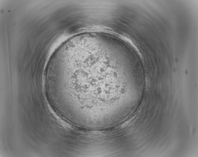 X0000059041424200510281531