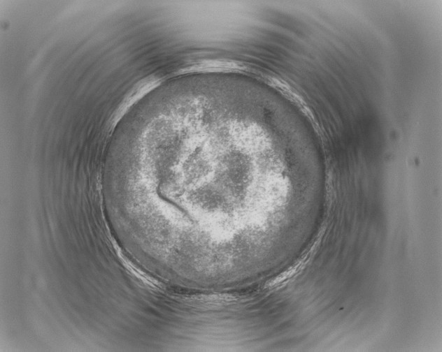 X0000059041425200510281531