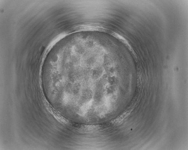 X0000059041427200510281531