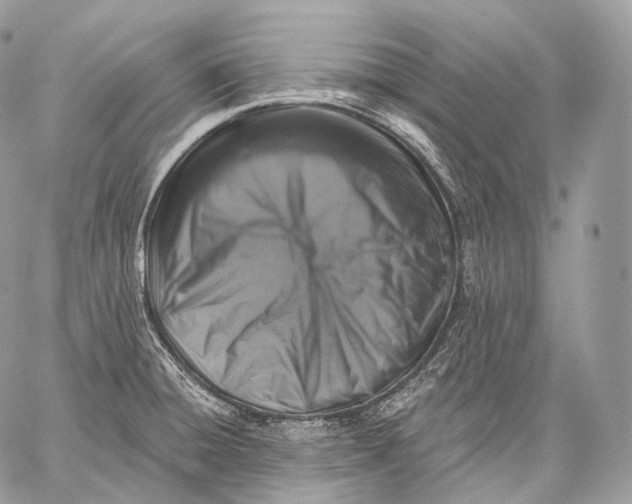 X0000059041428200510281531