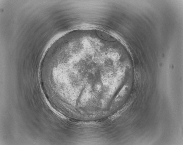 X0000059041429200510281531