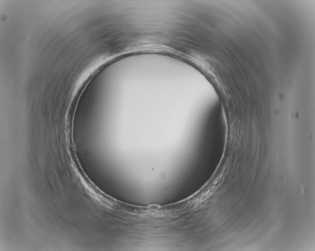 X0000059041430200510281531