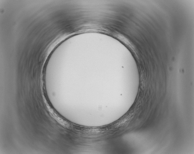 X0000059041431200510281531